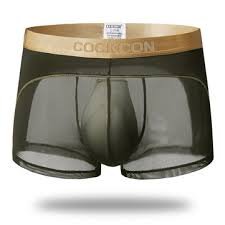 mesh underwear mens