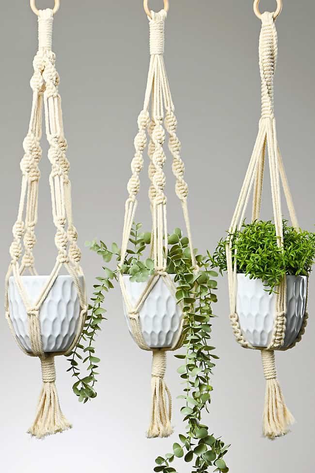 Macrame Plant Hangers